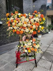 Mừng Khai Trương 11