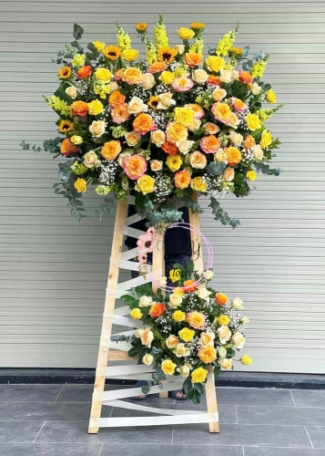 Mừng Khai Trương 19