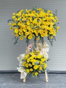 Mừng Khai Trương 20