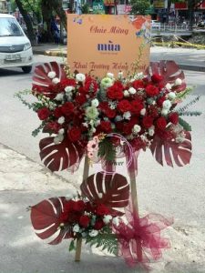 Mừng Khai Trương 26