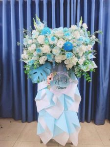 Mừng Khai Trương 28