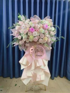 Mừng Khai Trương 29