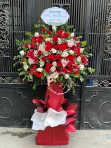 Mừng Khai Trương 50