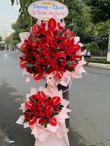 Mừng Khai Trương 53