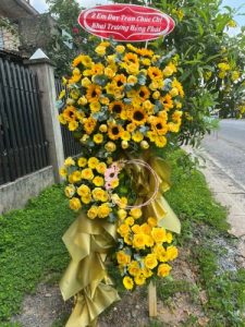Mừng Khai Trương 64