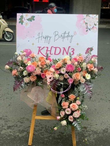 Mừng Khai Trương 79