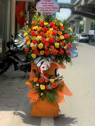 Mừng Khai Trương 81