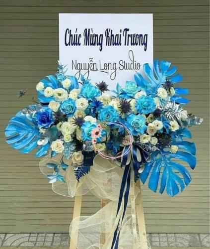 Mừng Khai Trương 84