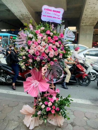 Mừng Khai Trương 85