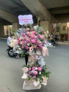 Mừng Khai Trương 95
