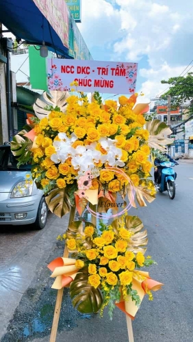 Mừng Khai Trương 101