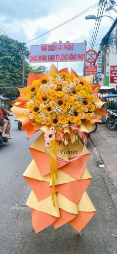 Mừng Khai Trương 103