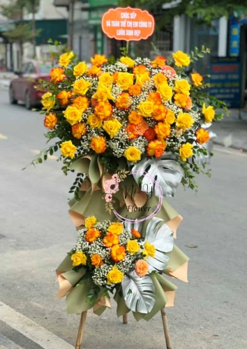 Mừng Khai Trương 117