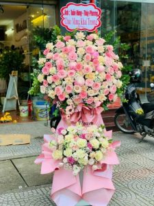 Mừng Khai Trương 120