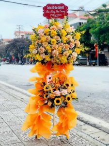 Mừng Khai Trương 123