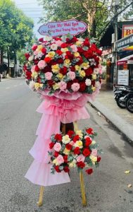 Mừng Khai Trương 54