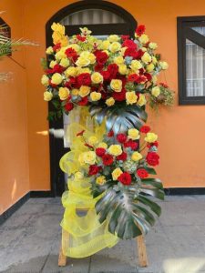 Mừng Khai Trương 45