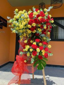 Mừng Khai Trương 56