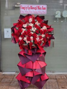 Mừng Khai Trương 02