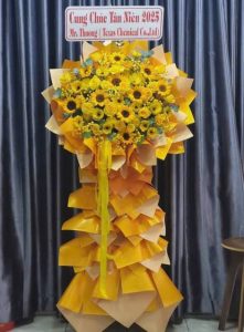 Mừng Khai Trương 100