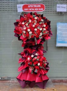 Mừng Khai Trương 14