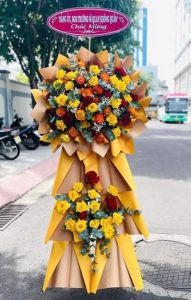 Mừng Khai Trương 55