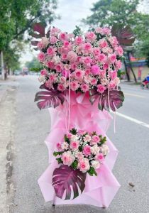 Mừng Khai Trương 97