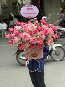 Hoa Giỏ 67