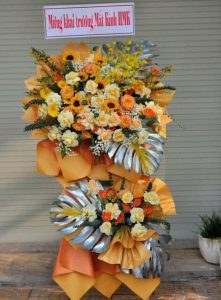 Mừng Khai Trương 24