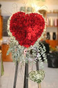 Mừng Khai Trương 128